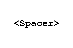 Spacer
