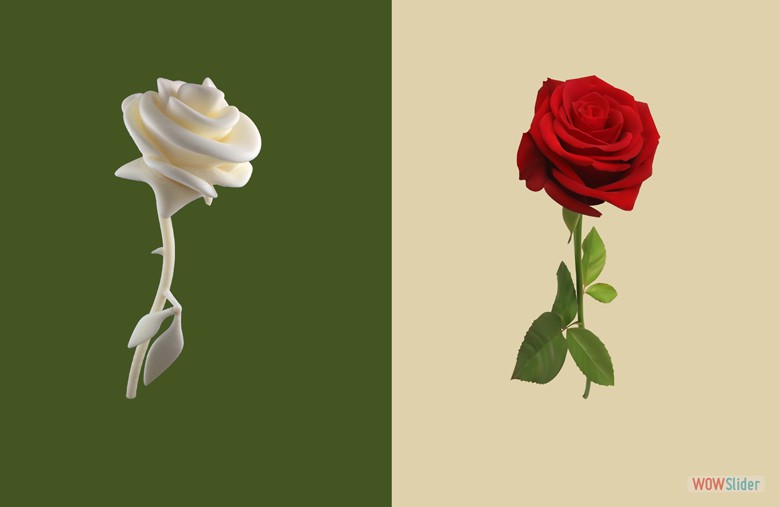 War Of The Roses